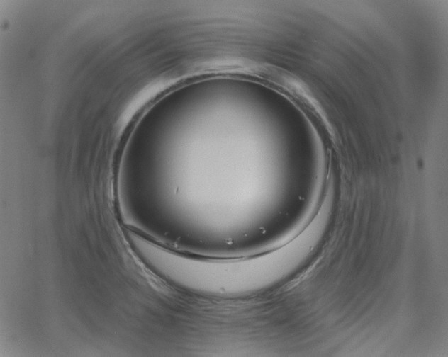 X0000063451328200601201210