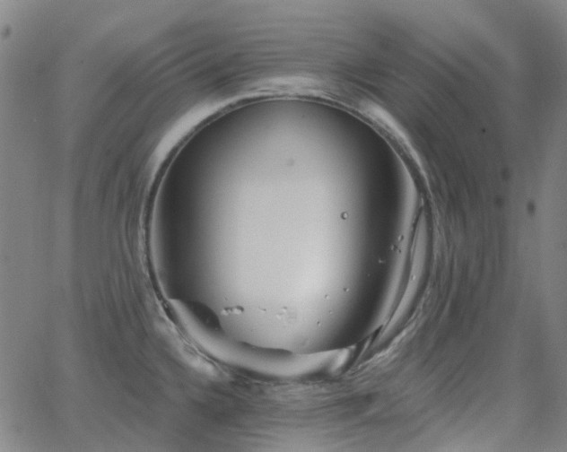 X0000063451336200601201210