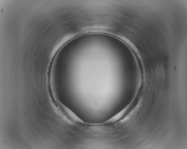 X0000063451341200601201210