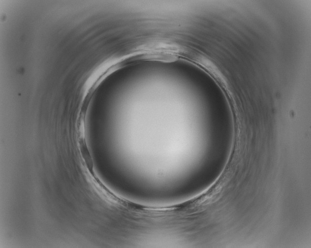 X0000063451344200601201210