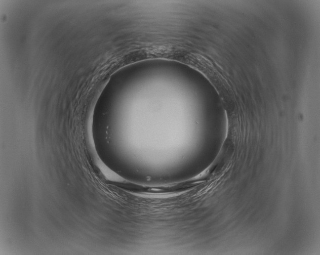 X0000063451345200601201210