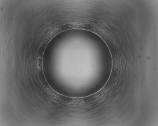 X0000063451346200601201210