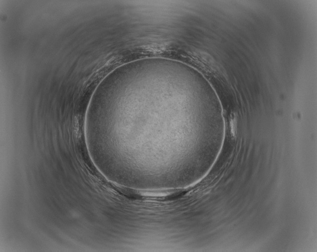 X0000063451347200601201210
