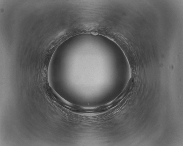 X0000063451349200601201210