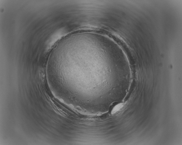 X0000063451355200601201210