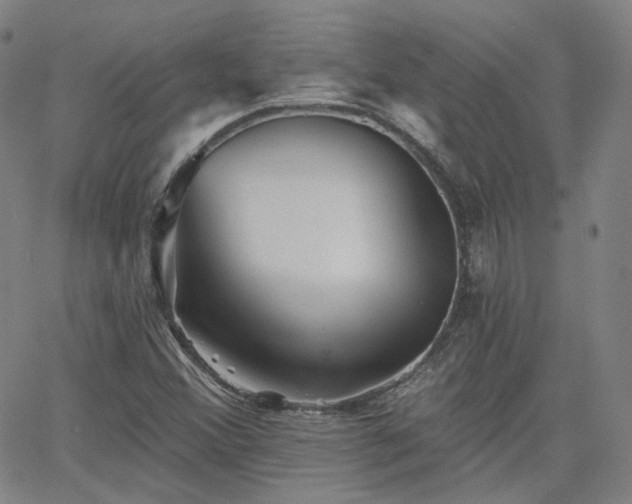 X0000063451356200601201210