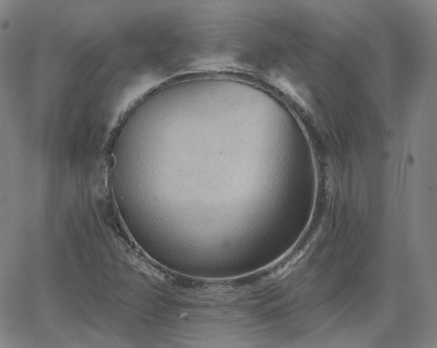 X0000063451358200601201209