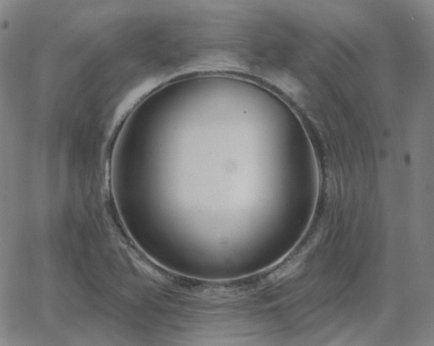 X0000063451366200601201209