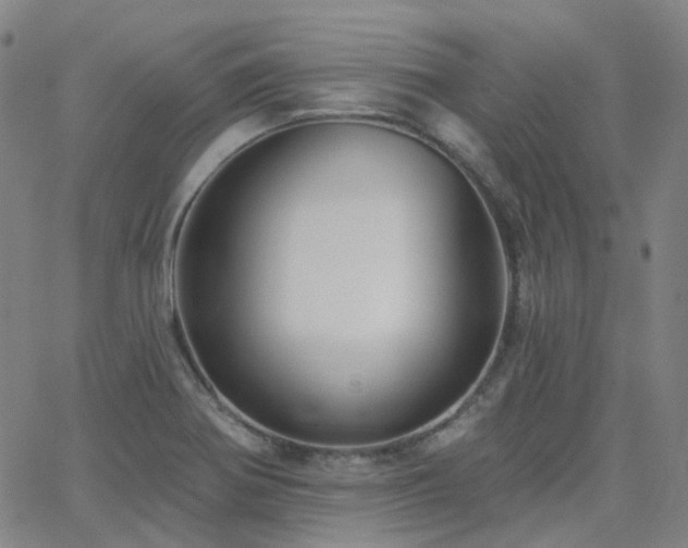 X0000063451370200601201209