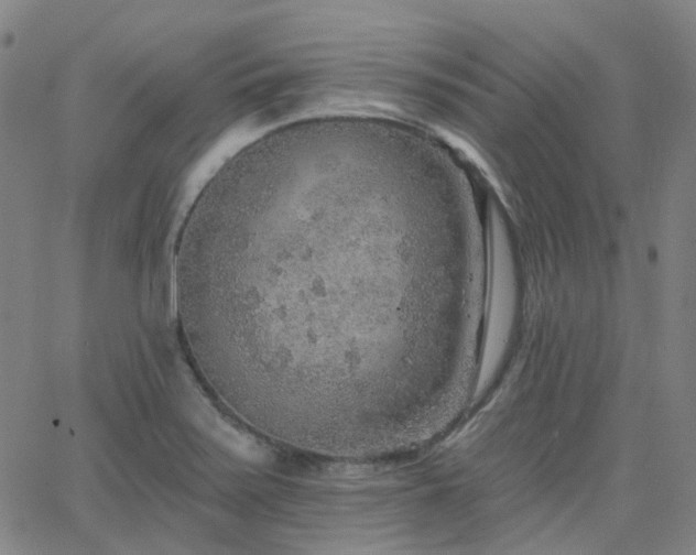 X0000063451371200601201209