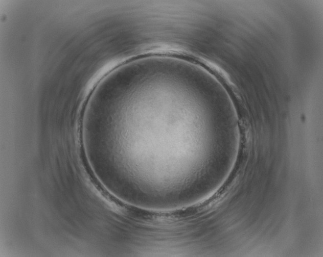 X0000063451375200601201209