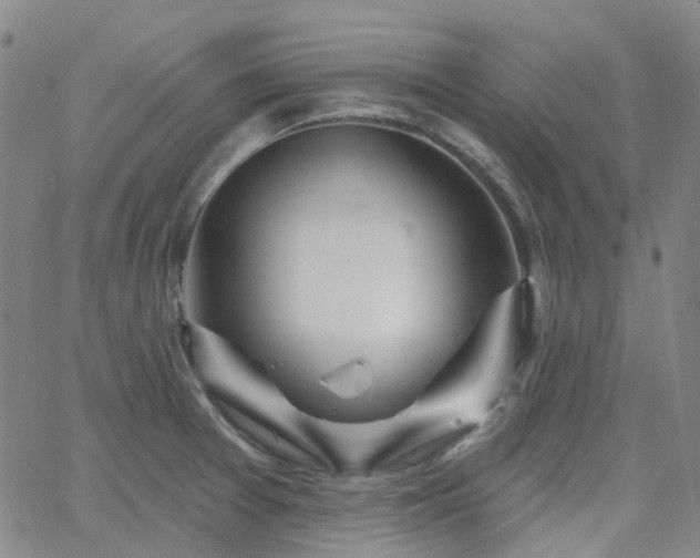 X0000063451377200601201209
