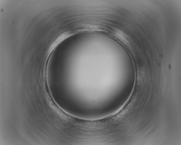 X0000063451378200601201209