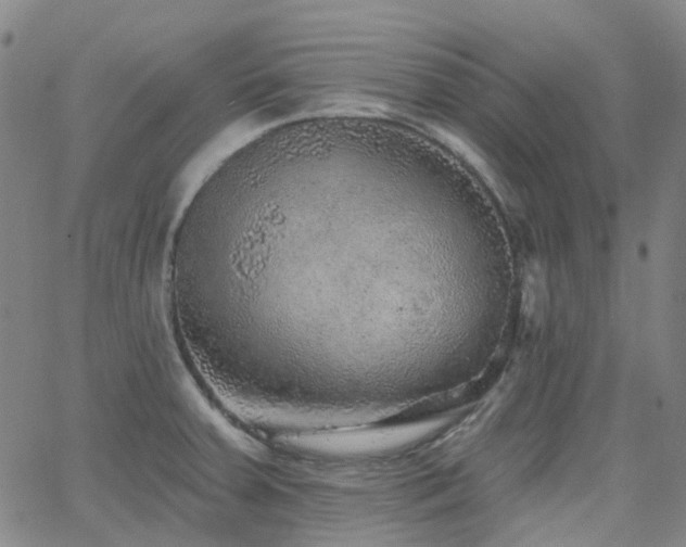 X0000063451379200601201209