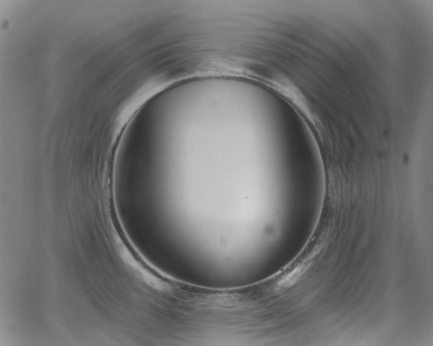 X0000063451387200601201209