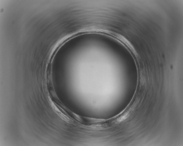 X0000063451388200601201209