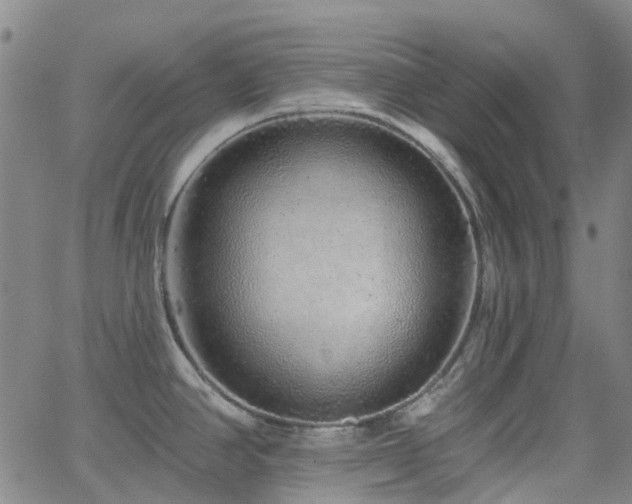 X0000063451390200601201209