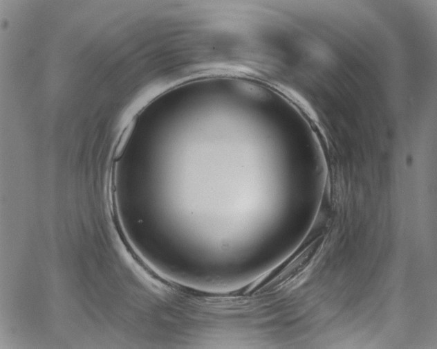 X0000063451391200601201209