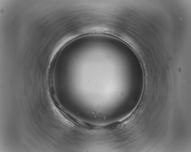 X0000063451392200601201209