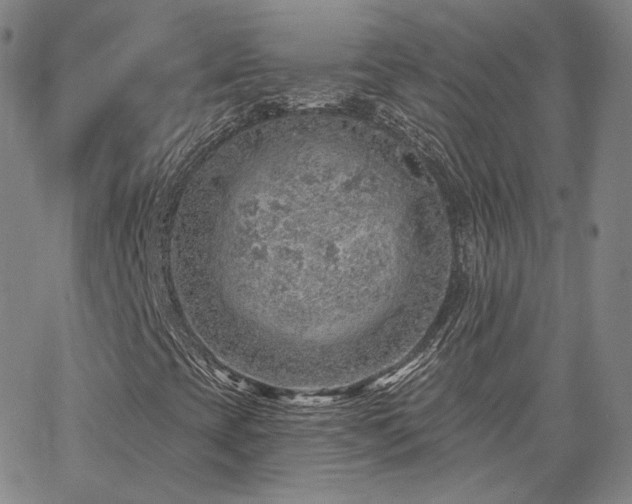 X0000063451393200601201208