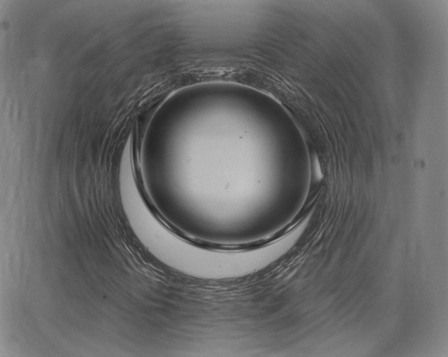 X0000063451394200601201208