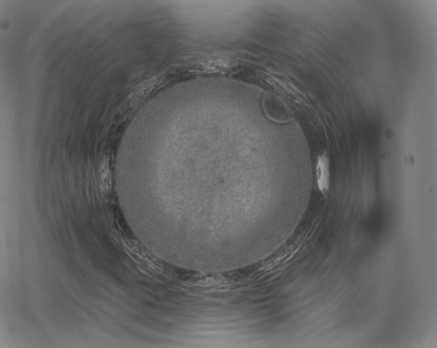 X0000063451395200601201208