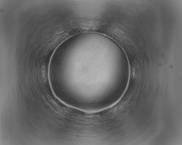 X0000063451396200601201208