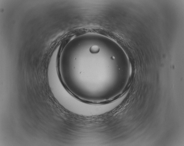 X0000063451398200601201208
