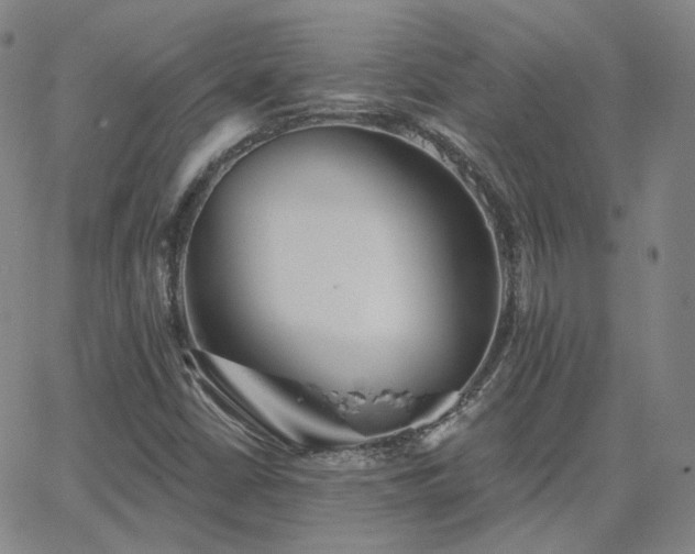 X0000063451402200601201208