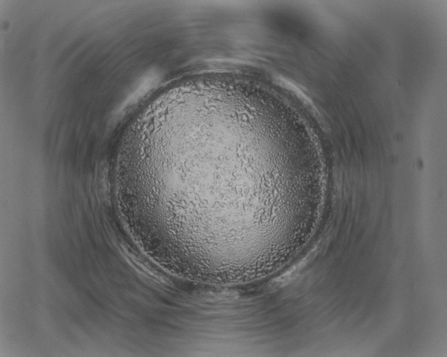 X0000063451403200601201208