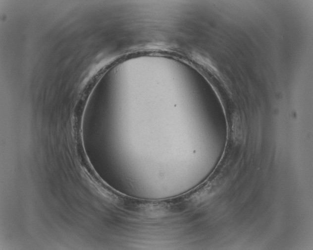 X0000063451404200601201208