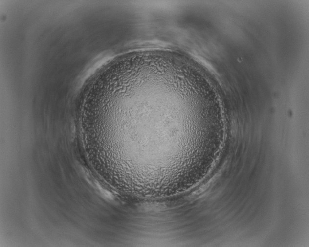 X0000063451407200601201208