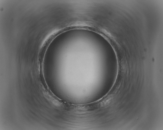 X0000063451408200601201208