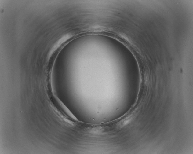X0000063451410200601201208