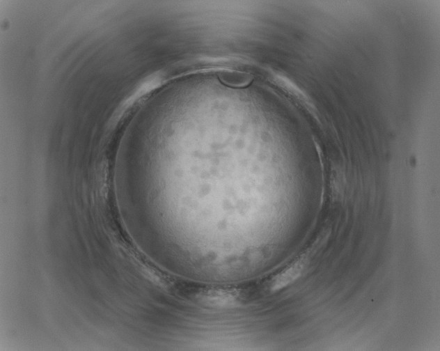 X0000063451411200601201208