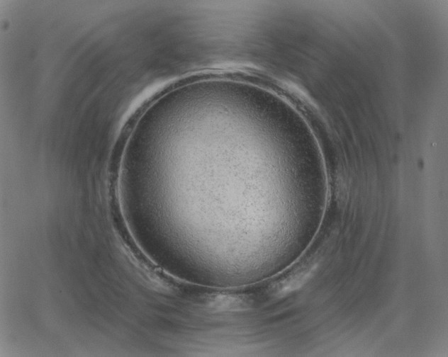 X0000063451412200601201208