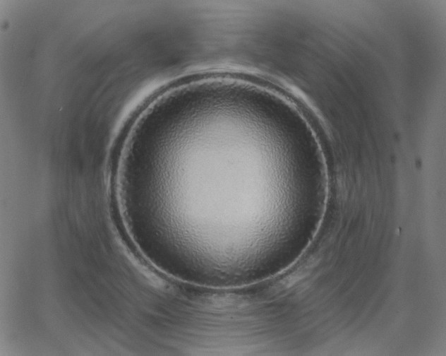 X0000063451416200601201209