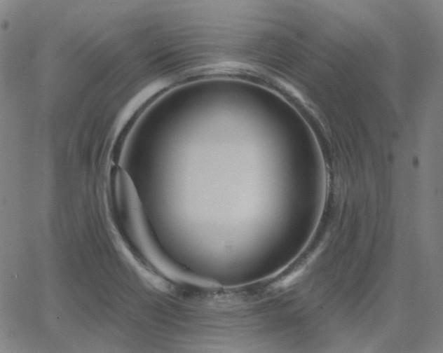 X0000063451418200601201209