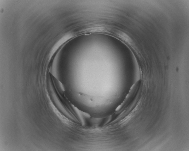 X0000063451426200601201209