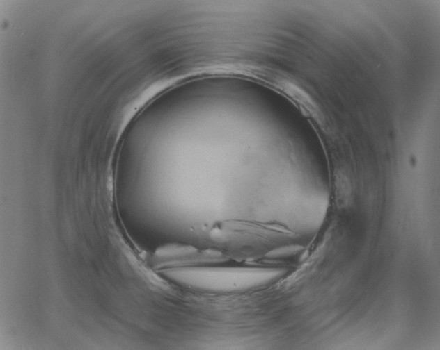 X0000063451428200601201209