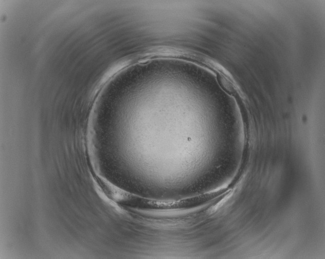 X0000063451433200601201209