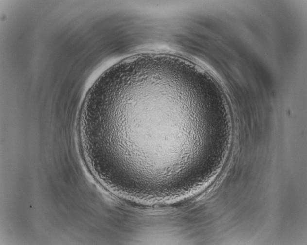 X0000063451440200601201209