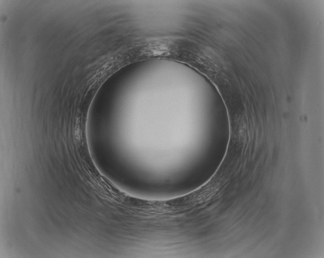 X0000063451442200601201208