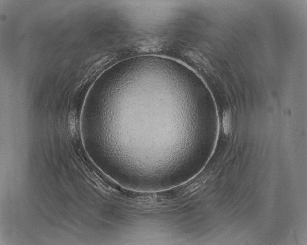 X0000063451444200601201208