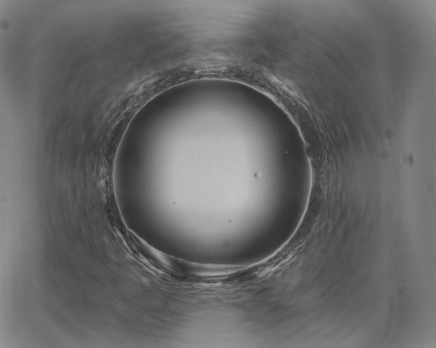 X0000063451445200601201208