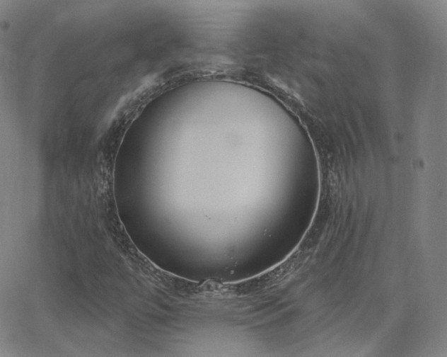 X0000063451447200601201208