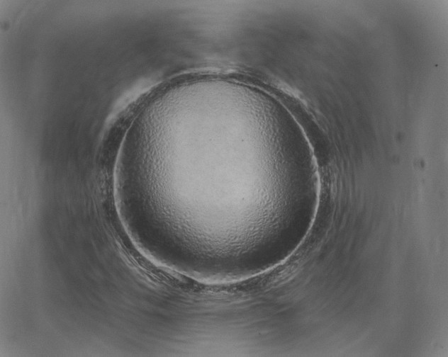 X0000063451448200601201208