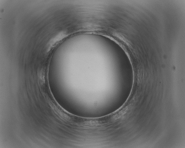 X0000063451451200601201208