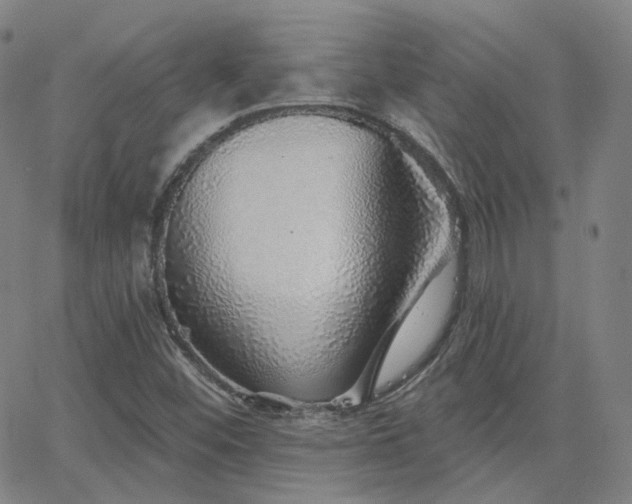 X0000063451452200601201208