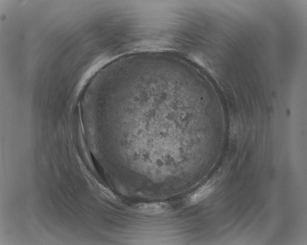 X0000063451459200601201208